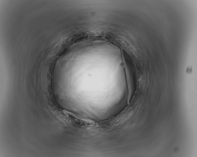 X0000097590961200803141851