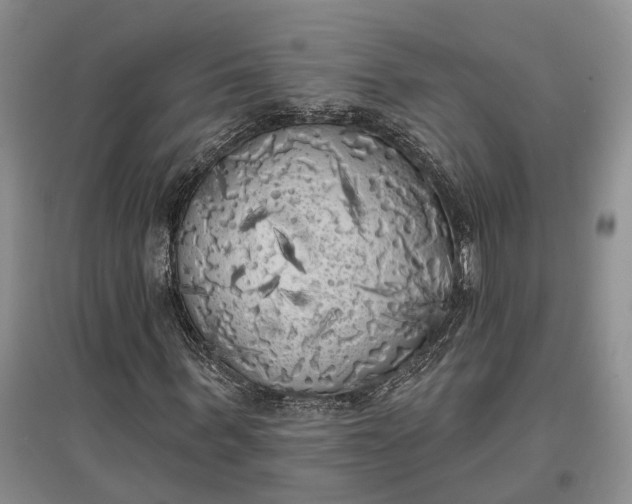 X0000097590963200803141851