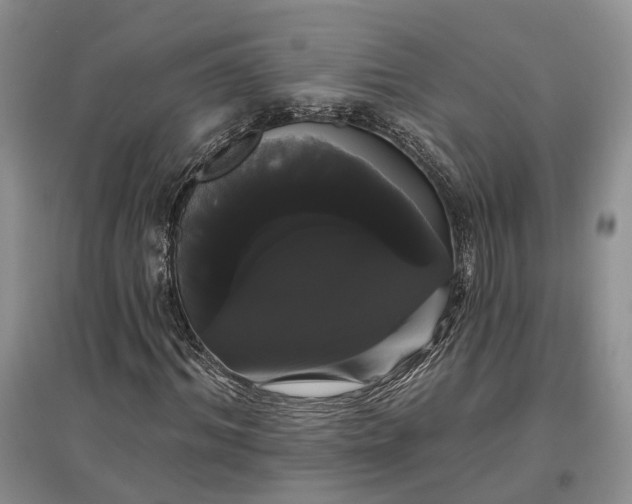 X0000097590964200803141851