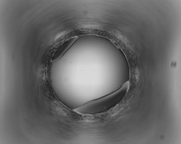 X0000097590965200803141851