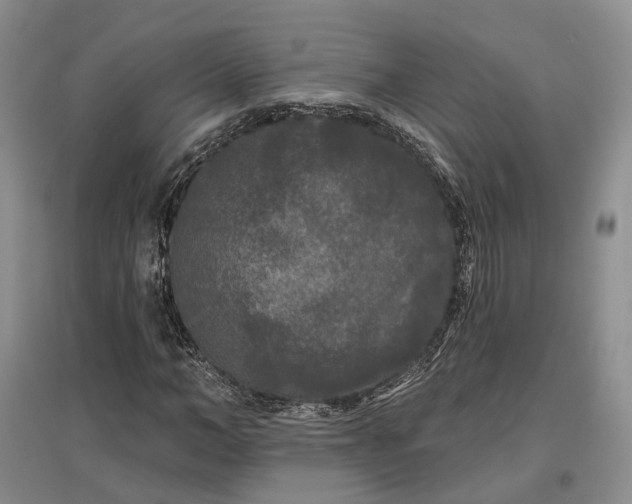 X0000097590966200803141851