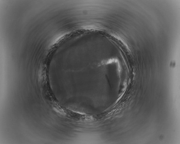 X0000097590968200803141851