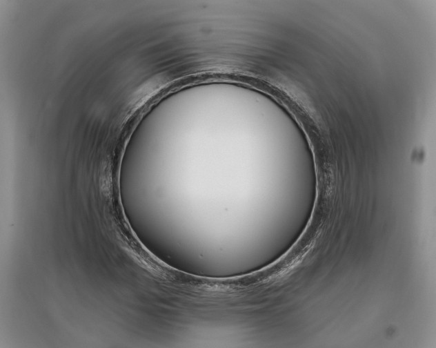 X0000097590969200803141851