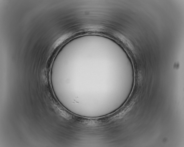 X0000097590970200803141851