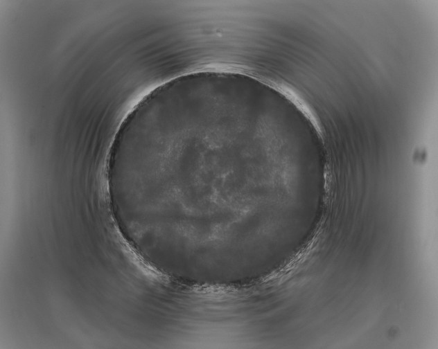 X0000097590972200803141851