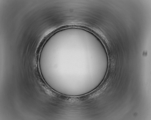 X0000097590974200803141851