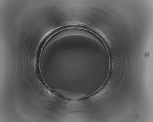 X0000097590975200803141851