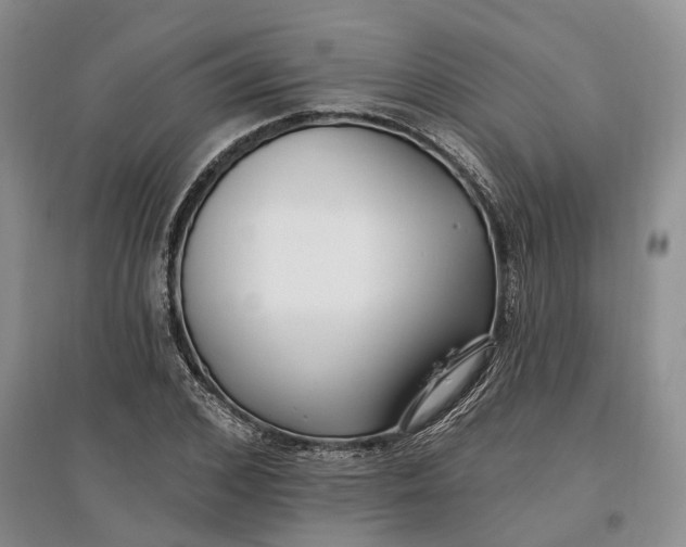 X0000097590976200803141851