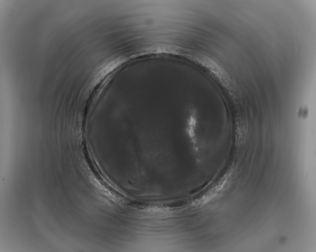 X0000097590977200803141851