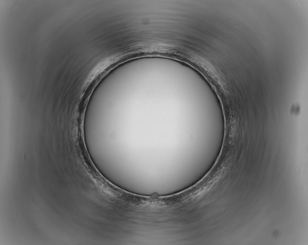 X0000097590978200803141851