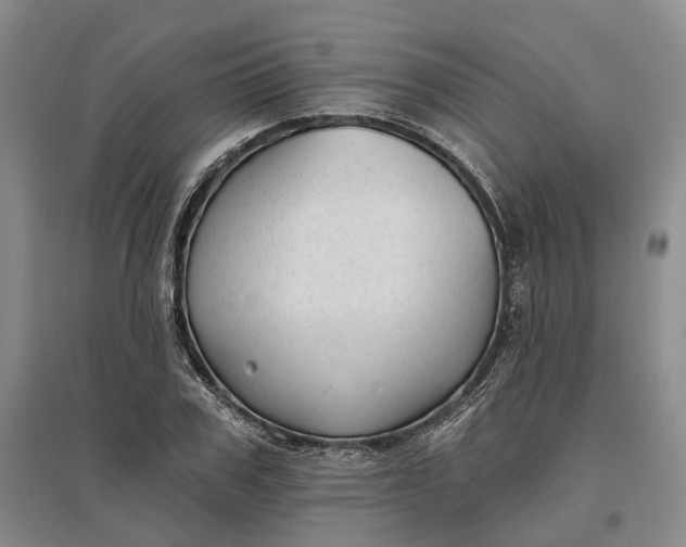 X0000097590979200803141851