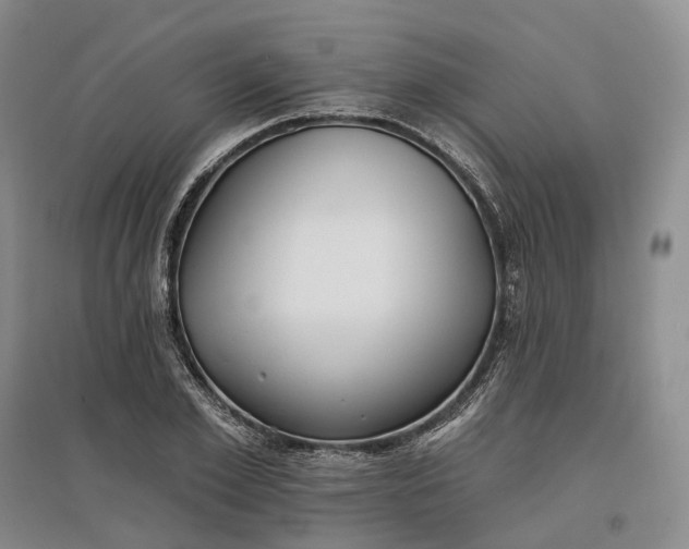 X0000097590981200803141851