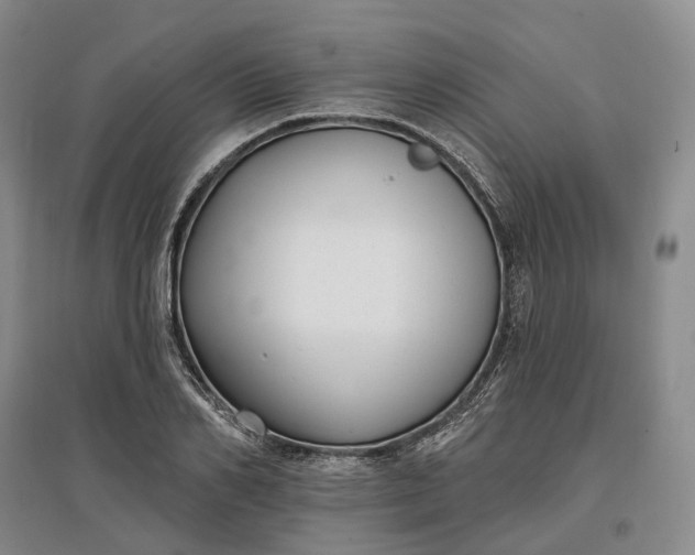 X0000097590982200803141851