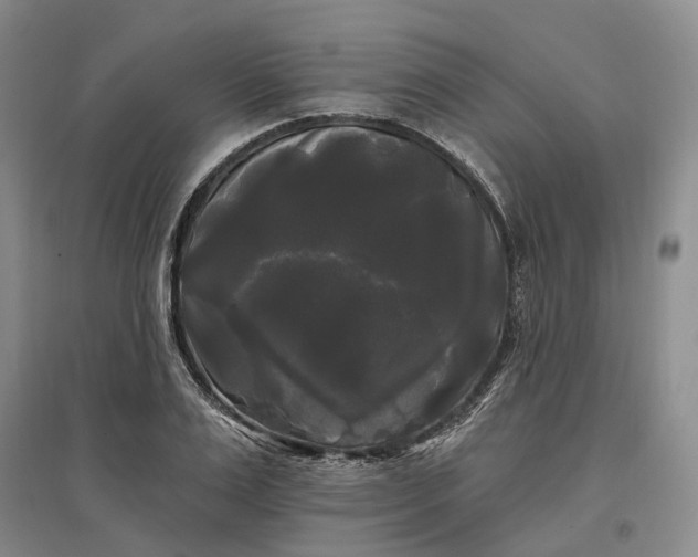 X0000097590983200803141851