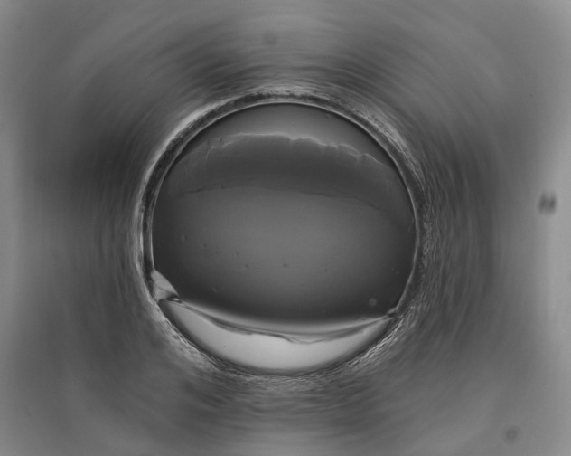 X0000097590984200803141851