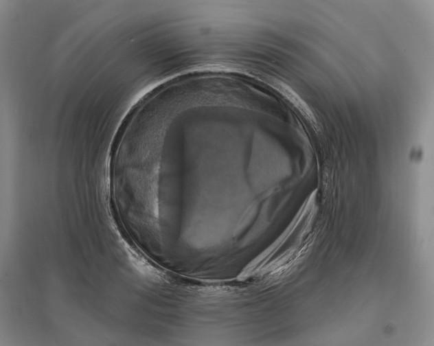 X0000097590988200803141851