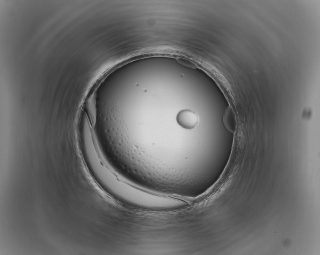 X0000097590989200803141851