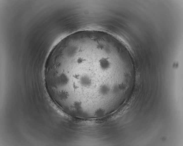 X0000097590990200803141851