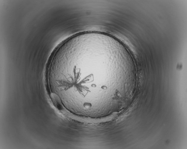 X0000097590991200803141851