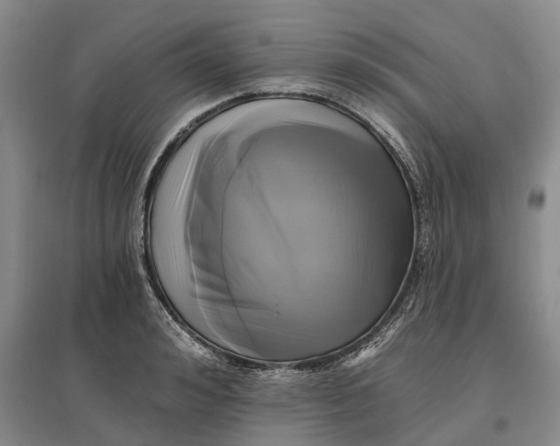 X0000097590992200803141851