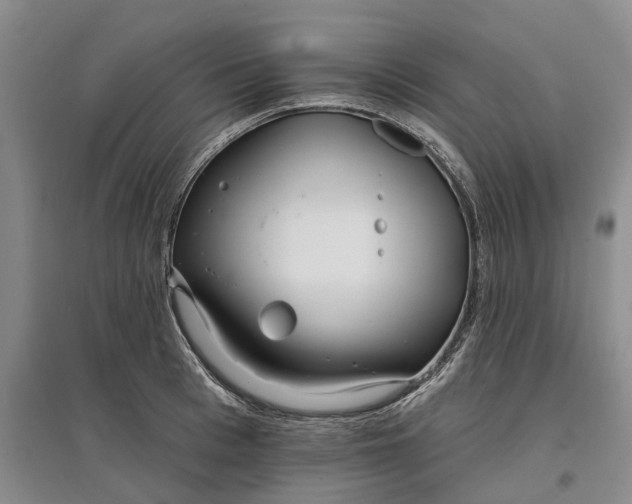 X0000097590993200803141851