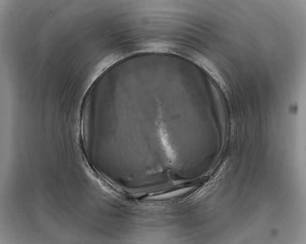 X0000097590994200803141851