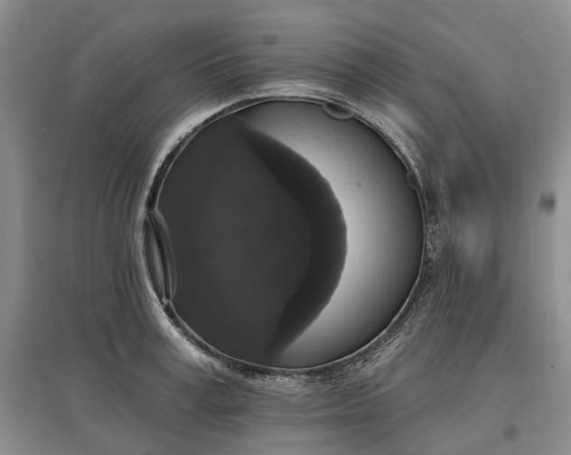 X0000097590995200803141851