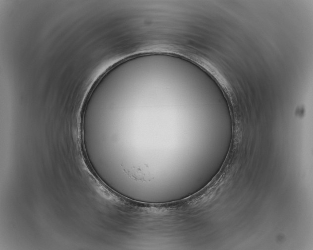 X0000097590996200803141851