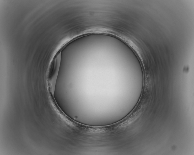 X0000097590997200803141851