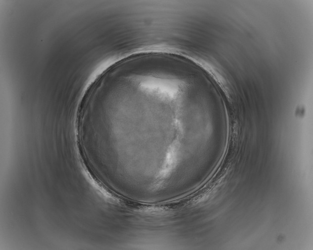 X0000097590998200803141851