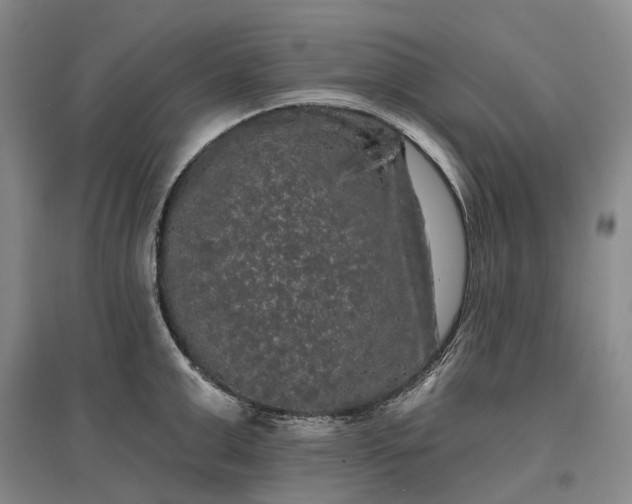 X0000097590999200803141851