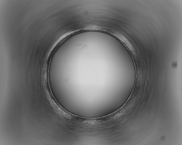 X0000097591000200803141851