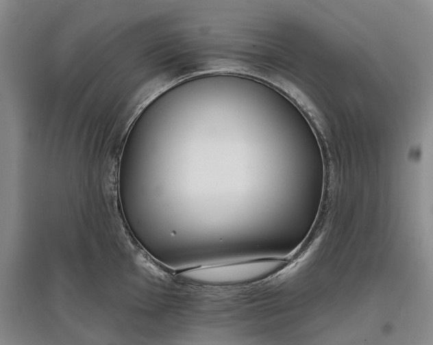 X0000097591001200803141851