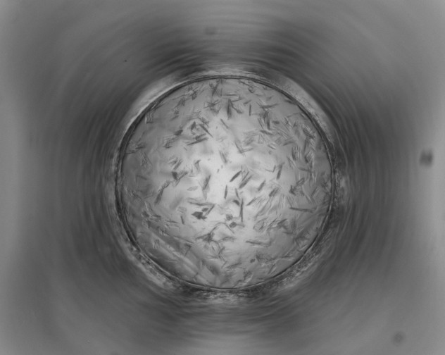 X0000097591002200803141851