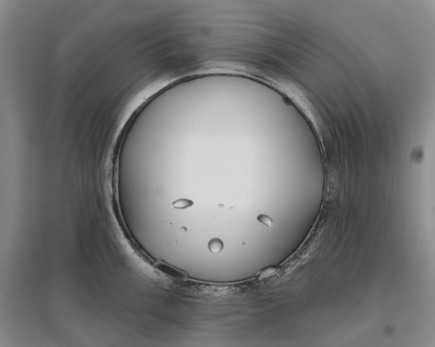 X0000097591003200803141851