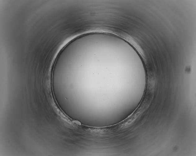 X0000097591004200803141851