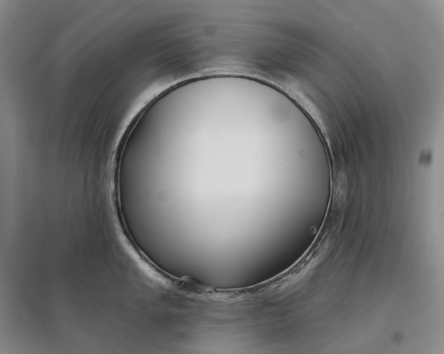 X0000097591005200803141851