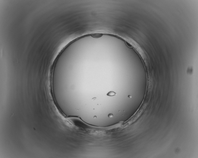 X0000097591006200803141850