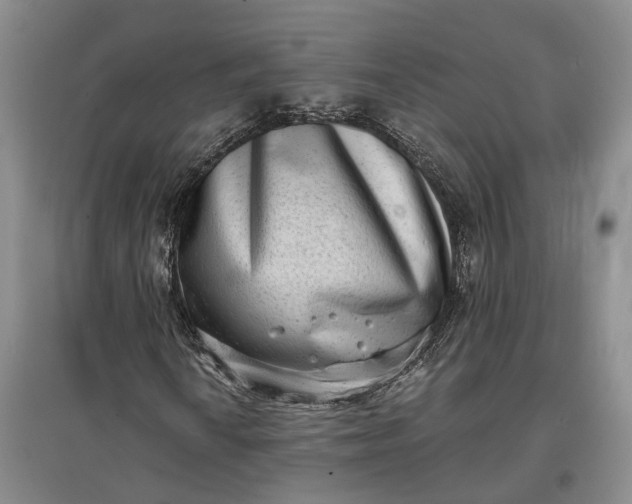 X0000097591010200803141850