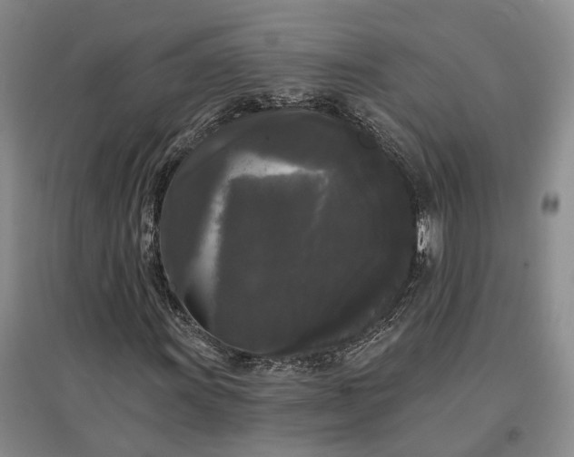 X0000097591011200803141850