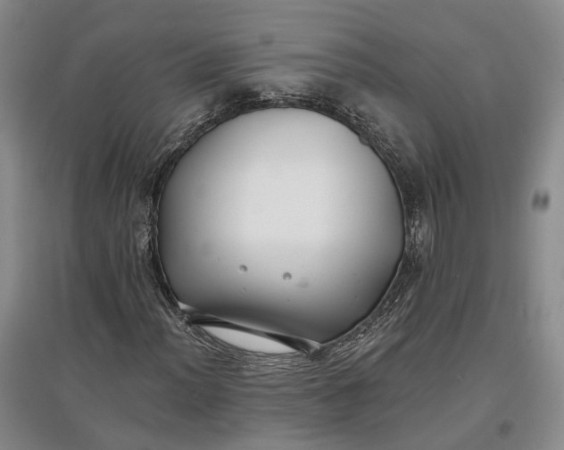 X0000097591012200803141850