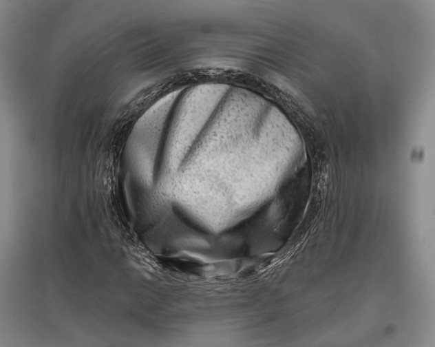 X0000097591014200803141850