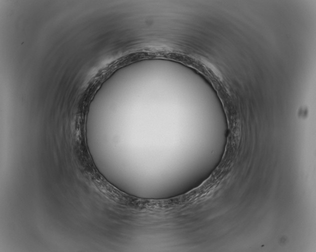 X0000097591016200803141850