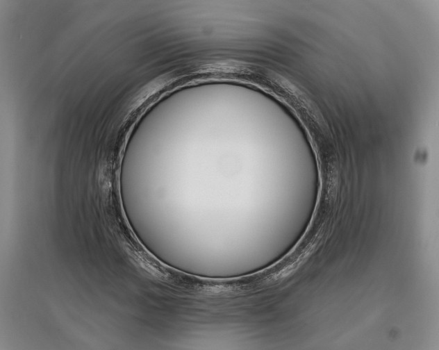 X0000097591017200803141850