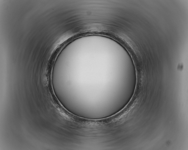 X0000097591018200803141850