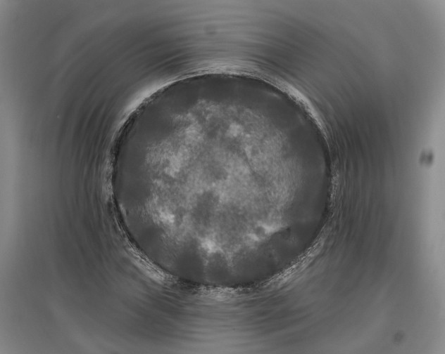 X0000097591019200803141850