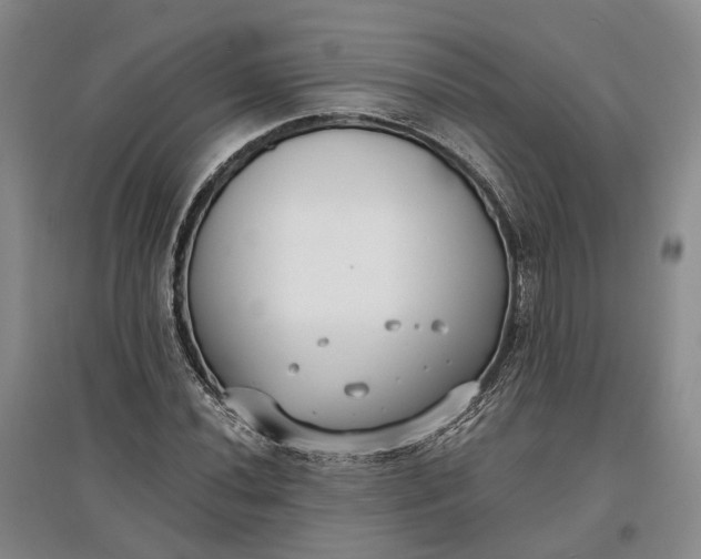 X0000097591020200803141850