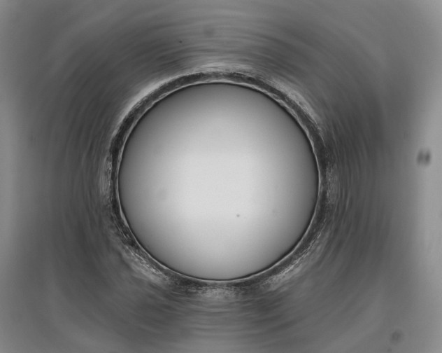 X0000097591021200803141850