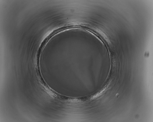 X0000097591023200803141850