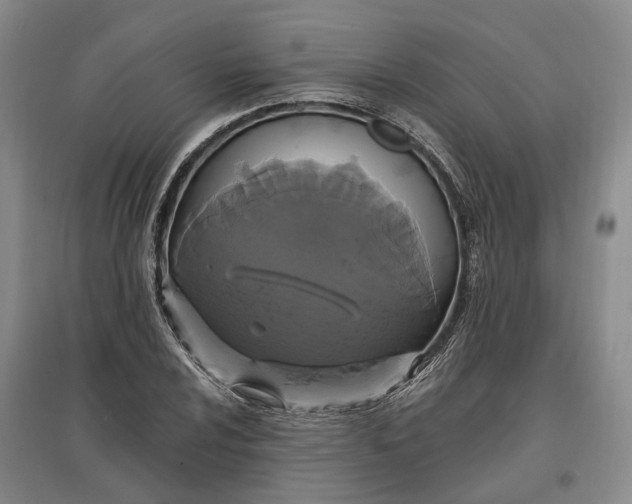 X0000097591024200803141850